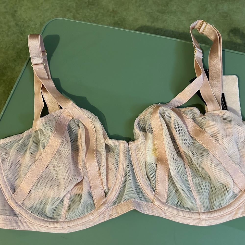 Elegant Sheer blush PinkVictorias Secret Bra 34ddd